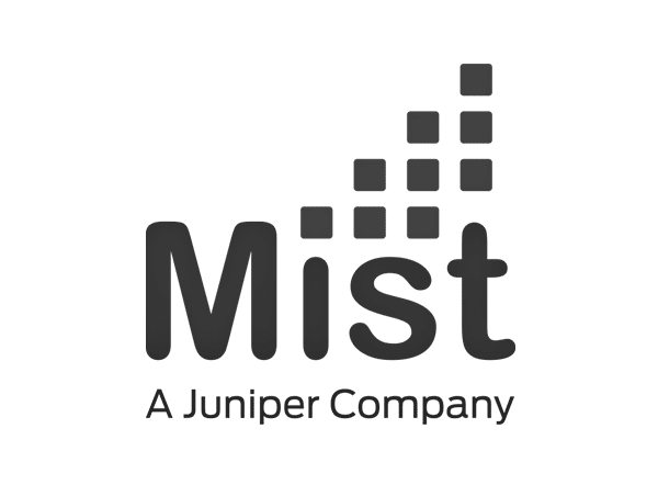 Mist-Juniper